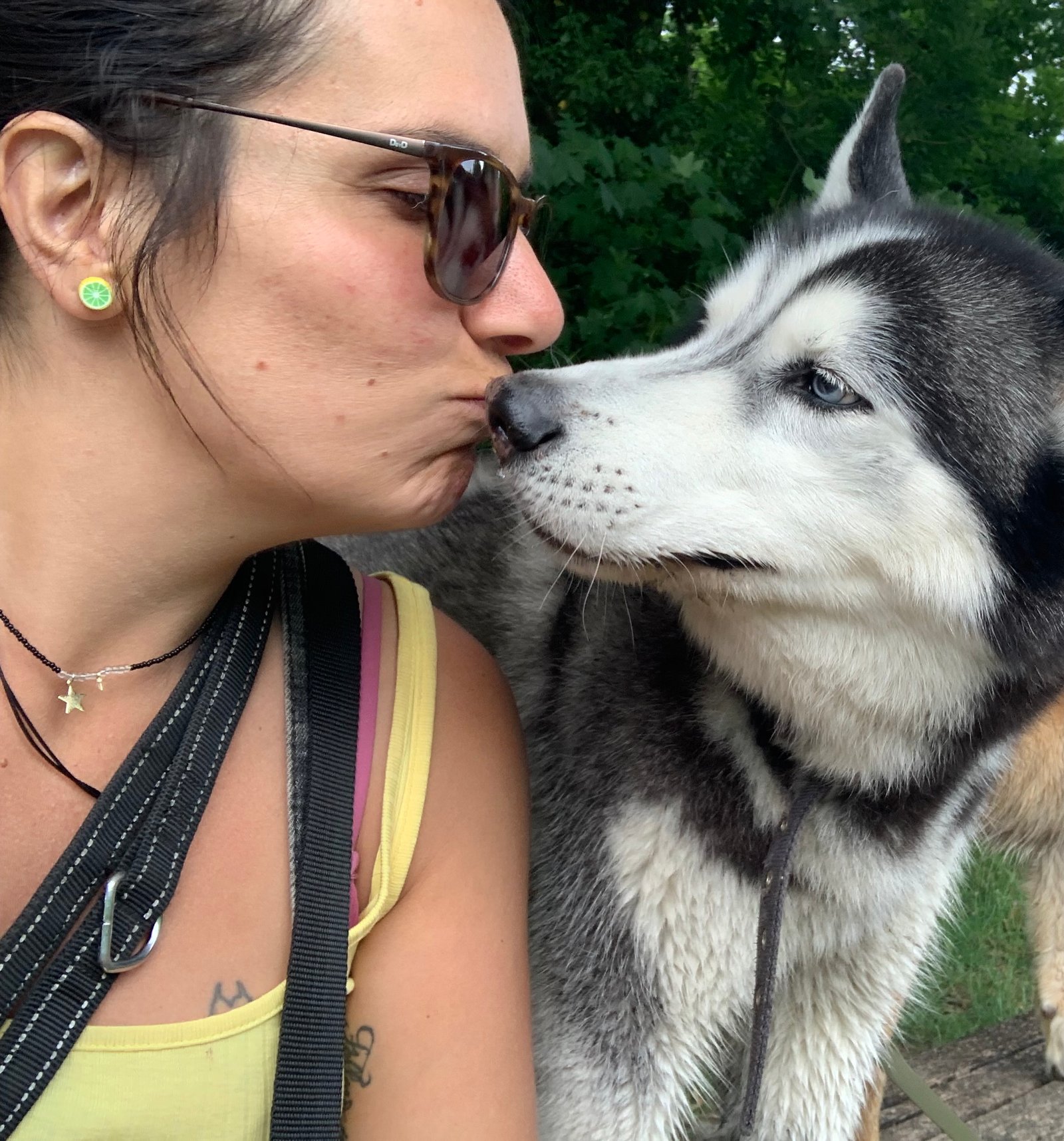marion et un husky